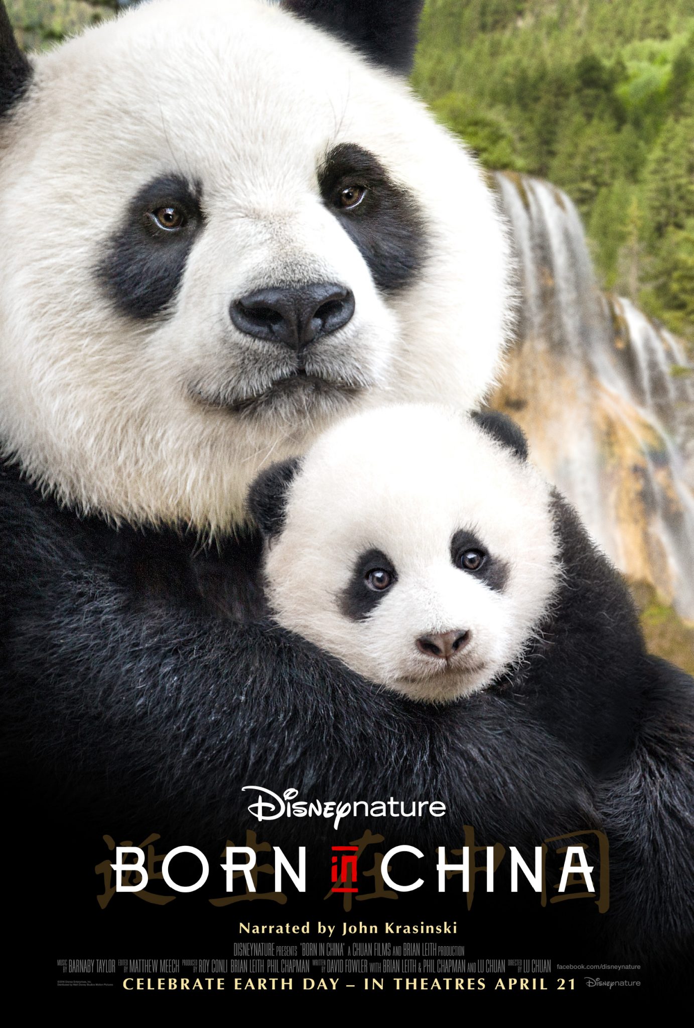 My Review: Born In China