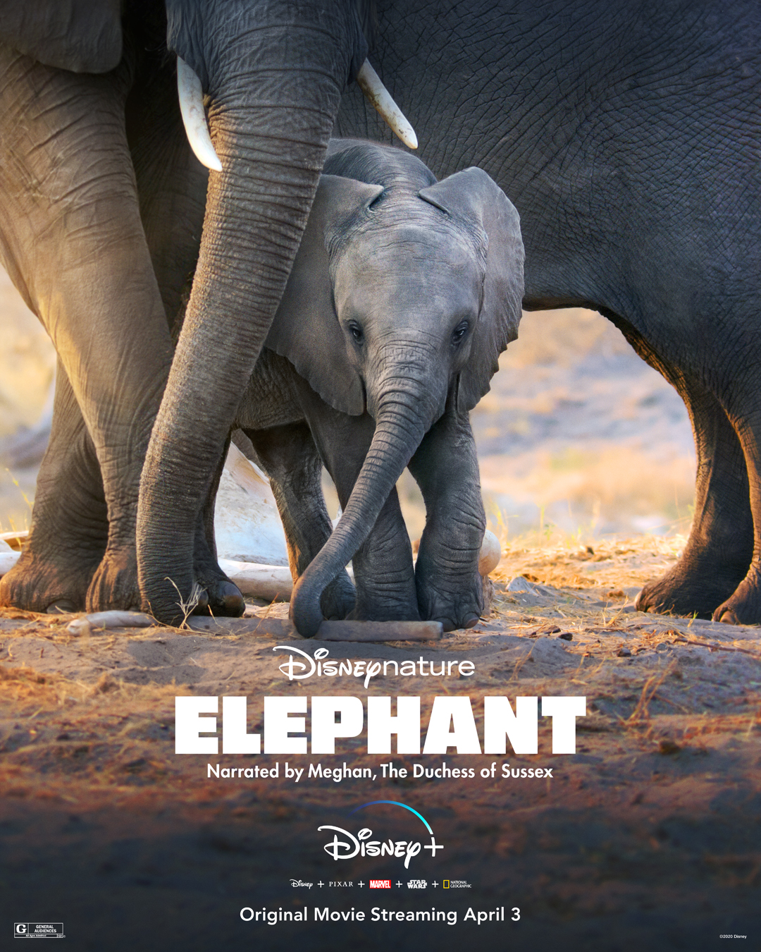 Disney + Honors Earth Month With New DisneyNature Films Narrated By Meghan Markle