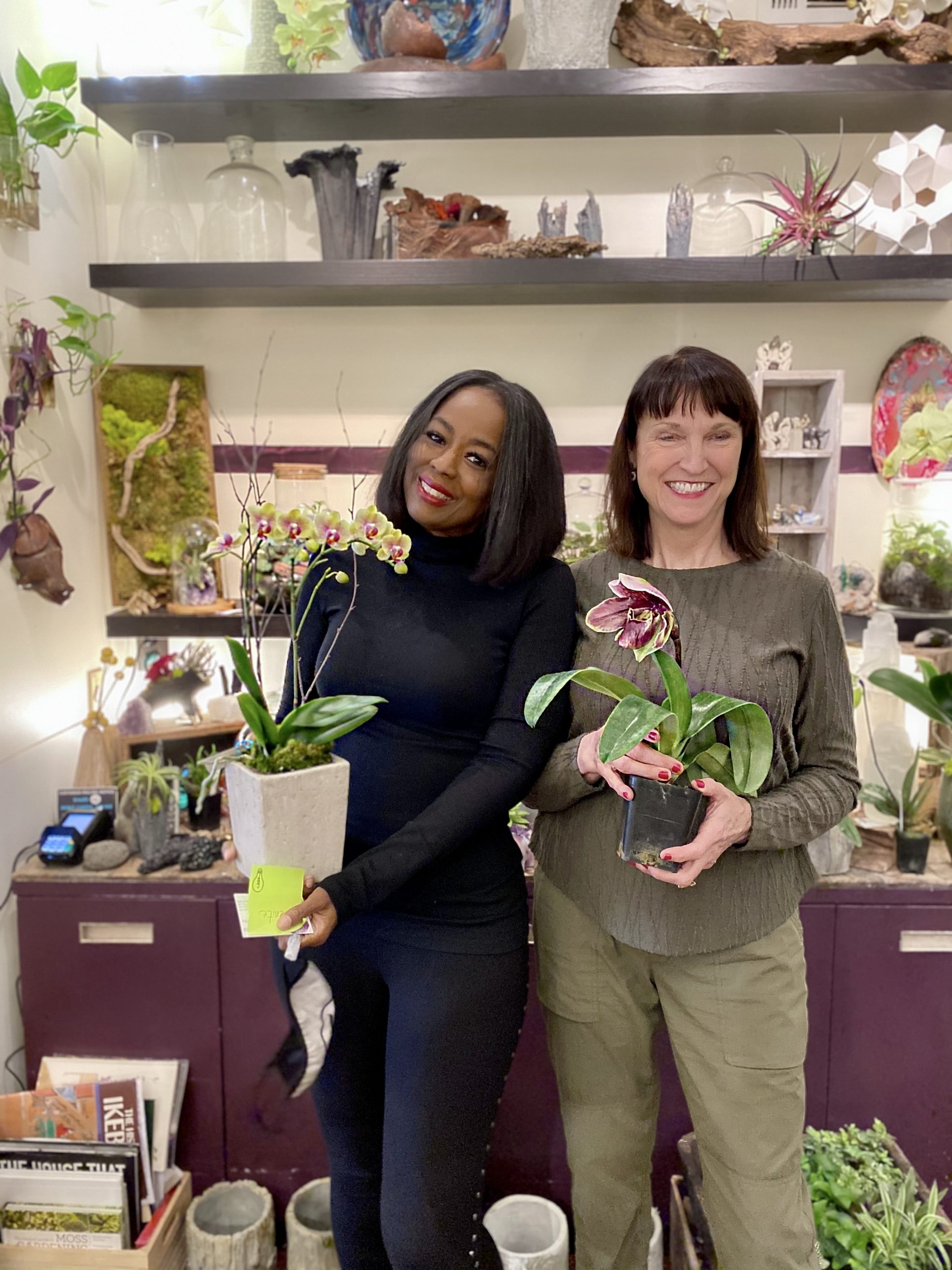 Five Things I Learned About Orchids With Terry Furuta Designs