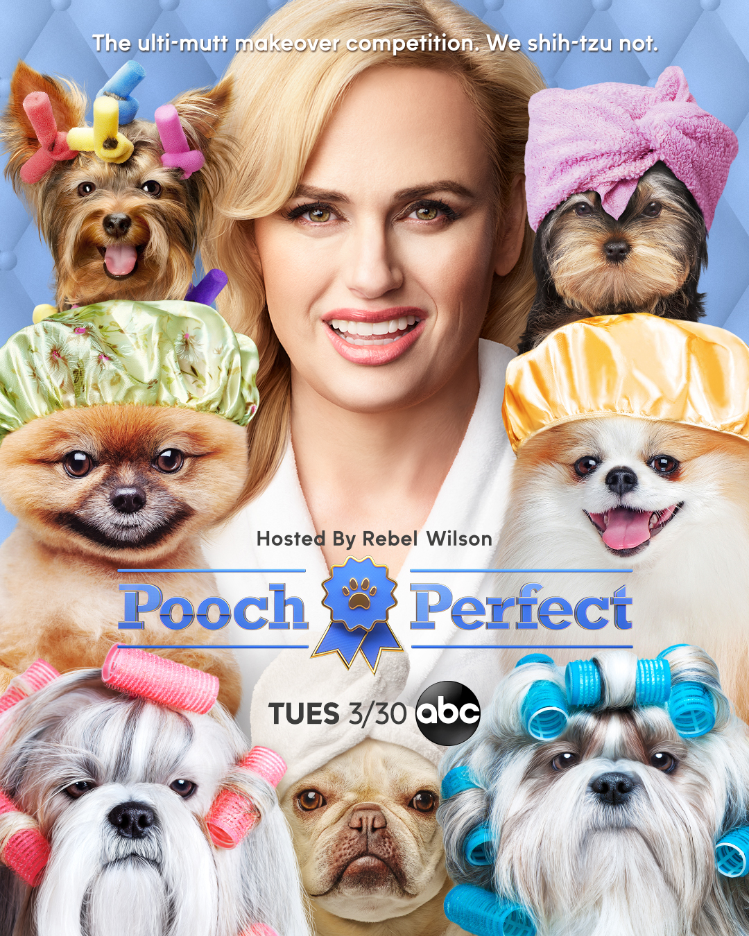 ‘Pooch Perfect’ Dog Grooming Competition