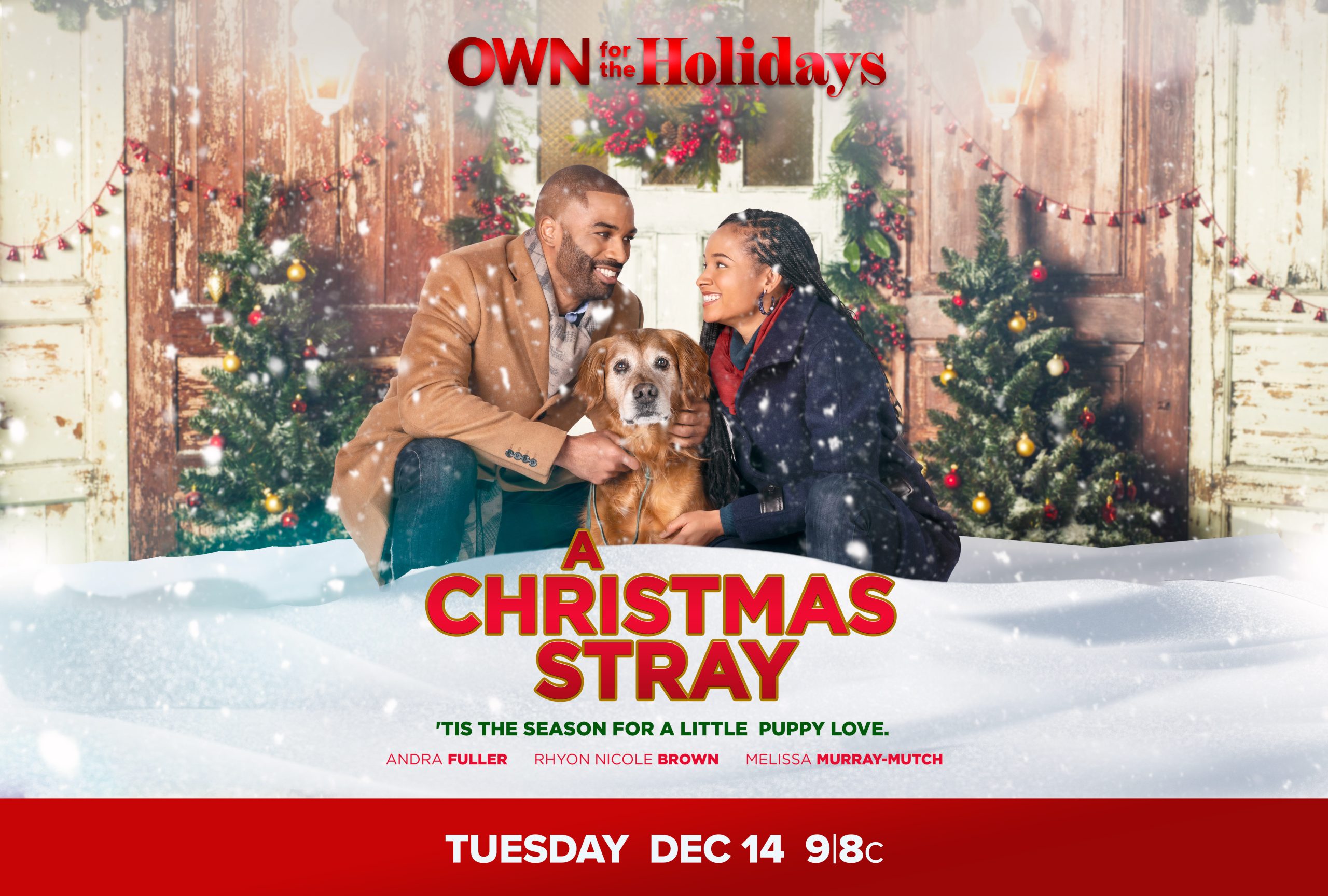 First Look: A Christmas Stray