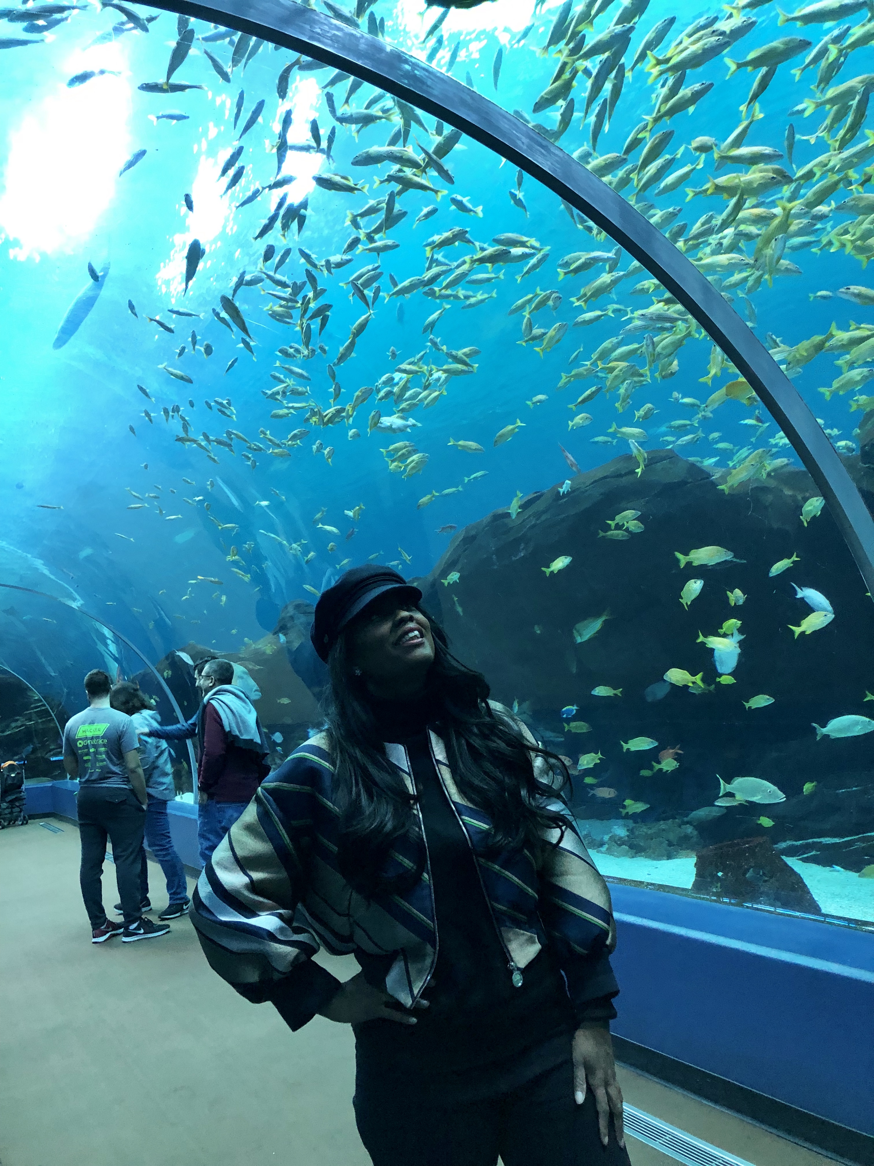 Five Reasons To Visit The Georgia Aquarium