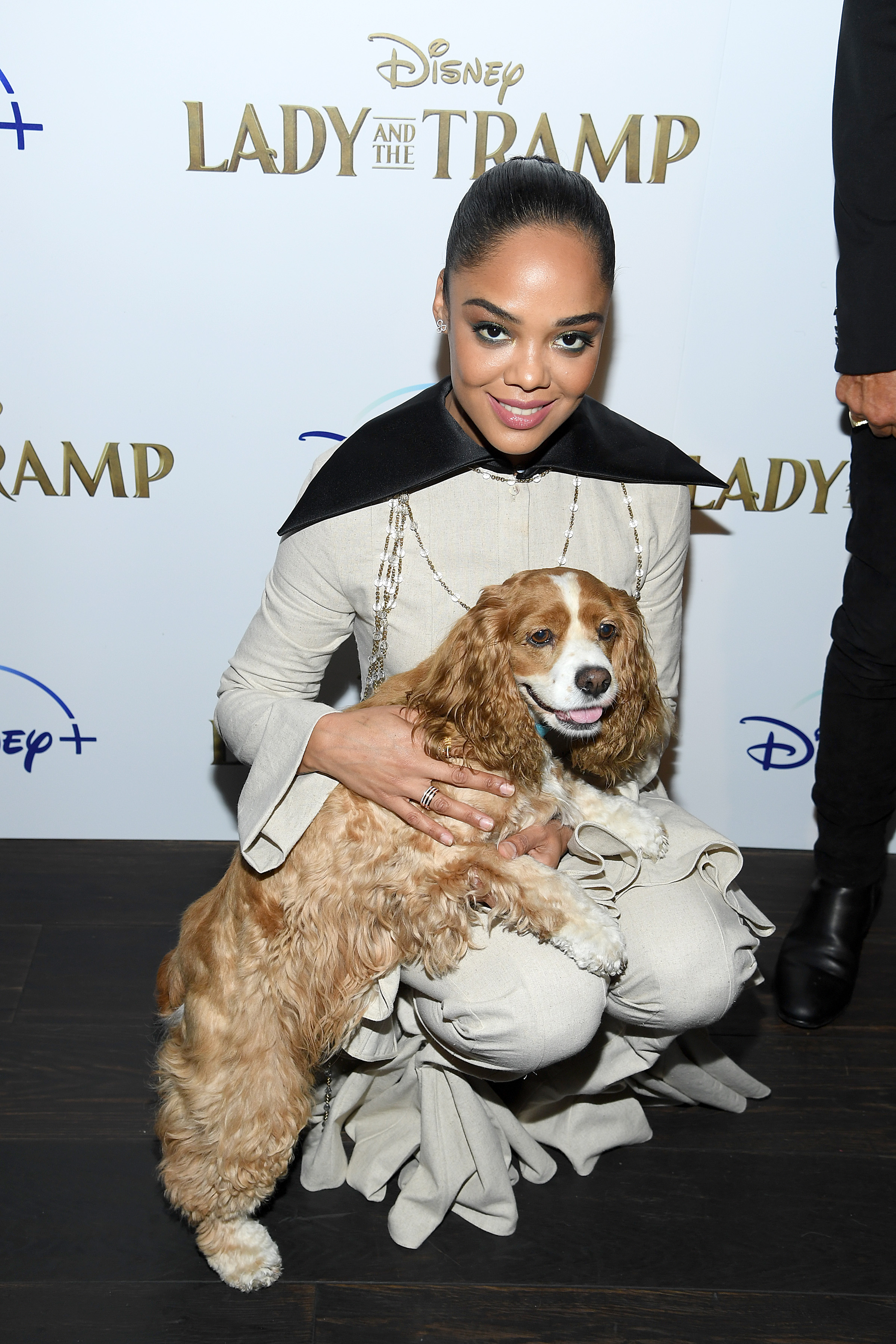 DISNEY+ “LADY AND THE TRAMP” NY SPECIAL SCREENING