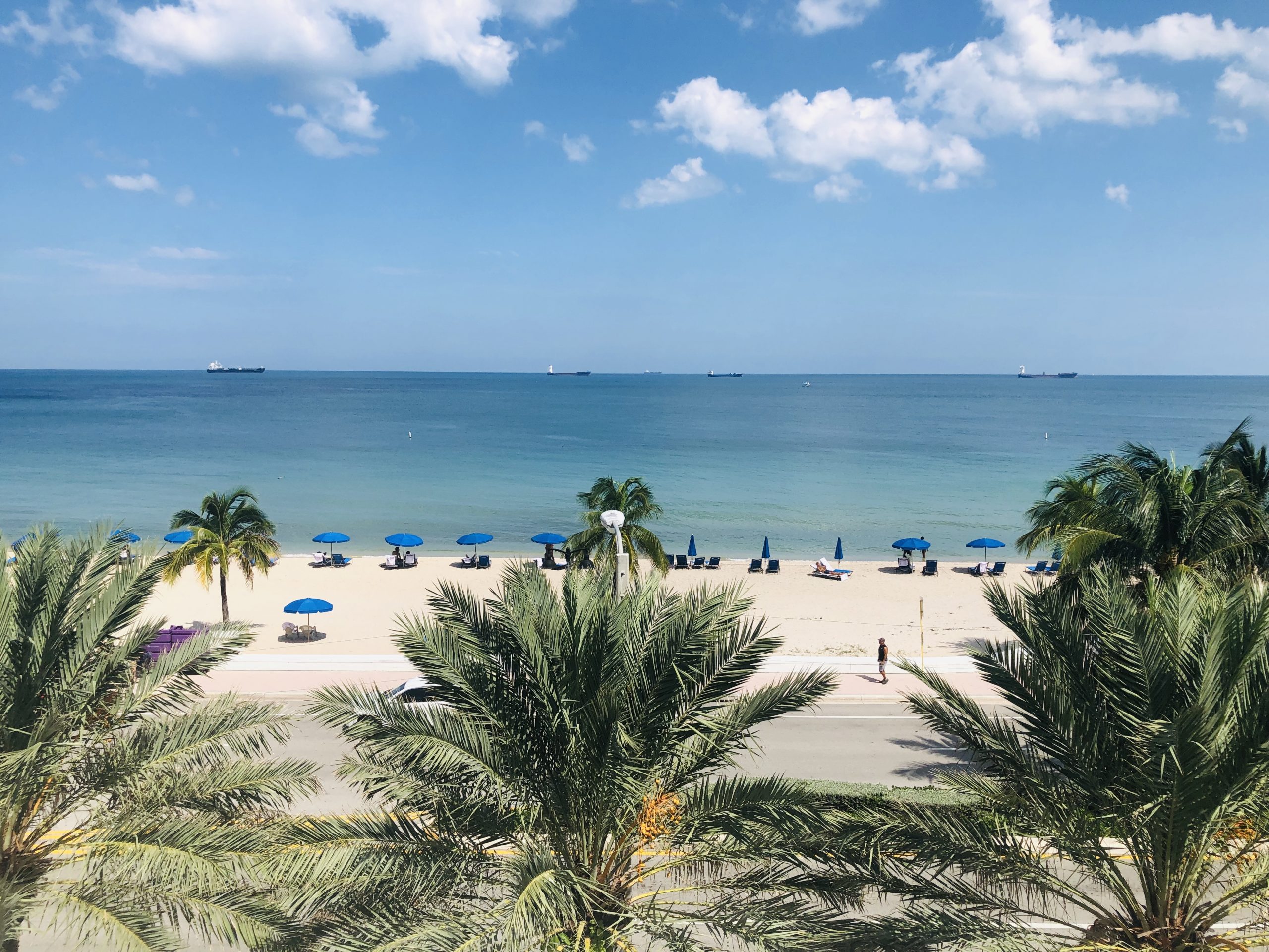 A Brief Travel Guide For Miami, Florida