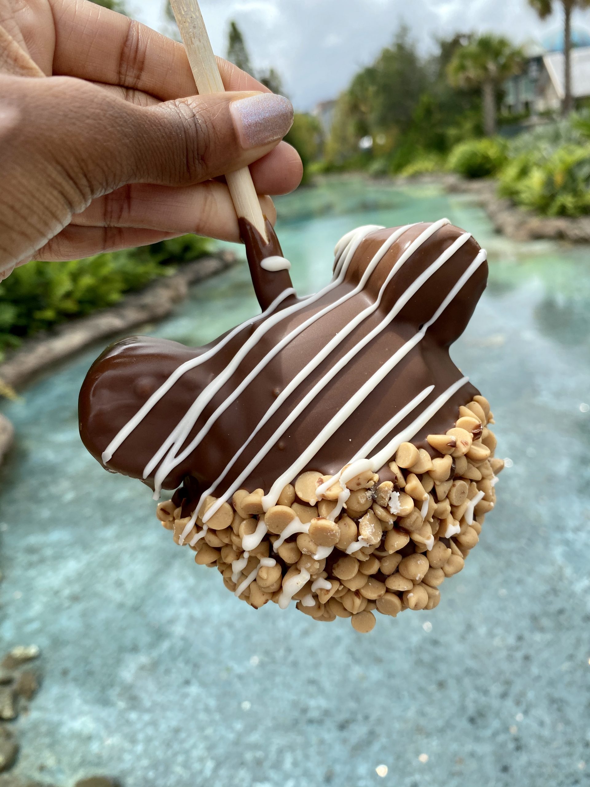 Sweet Treats That I Adored At Disney Springs