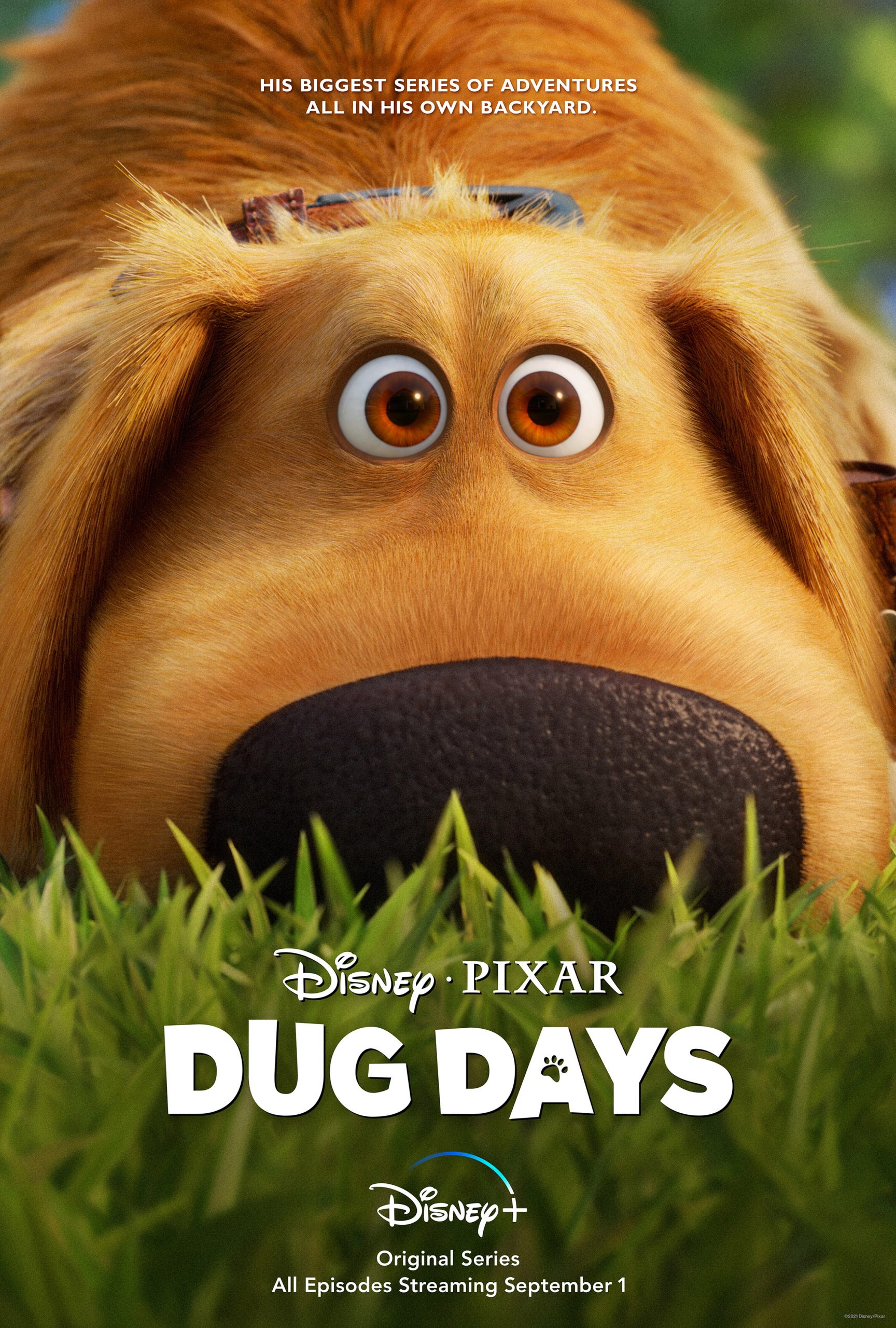 New Series: Pixar’s Dug Days