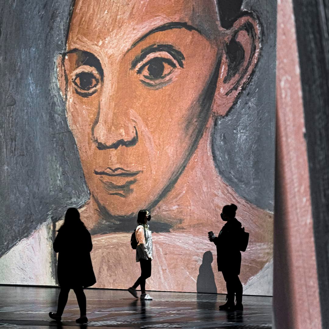 Imagine Picasso Exhibition In Atlanta