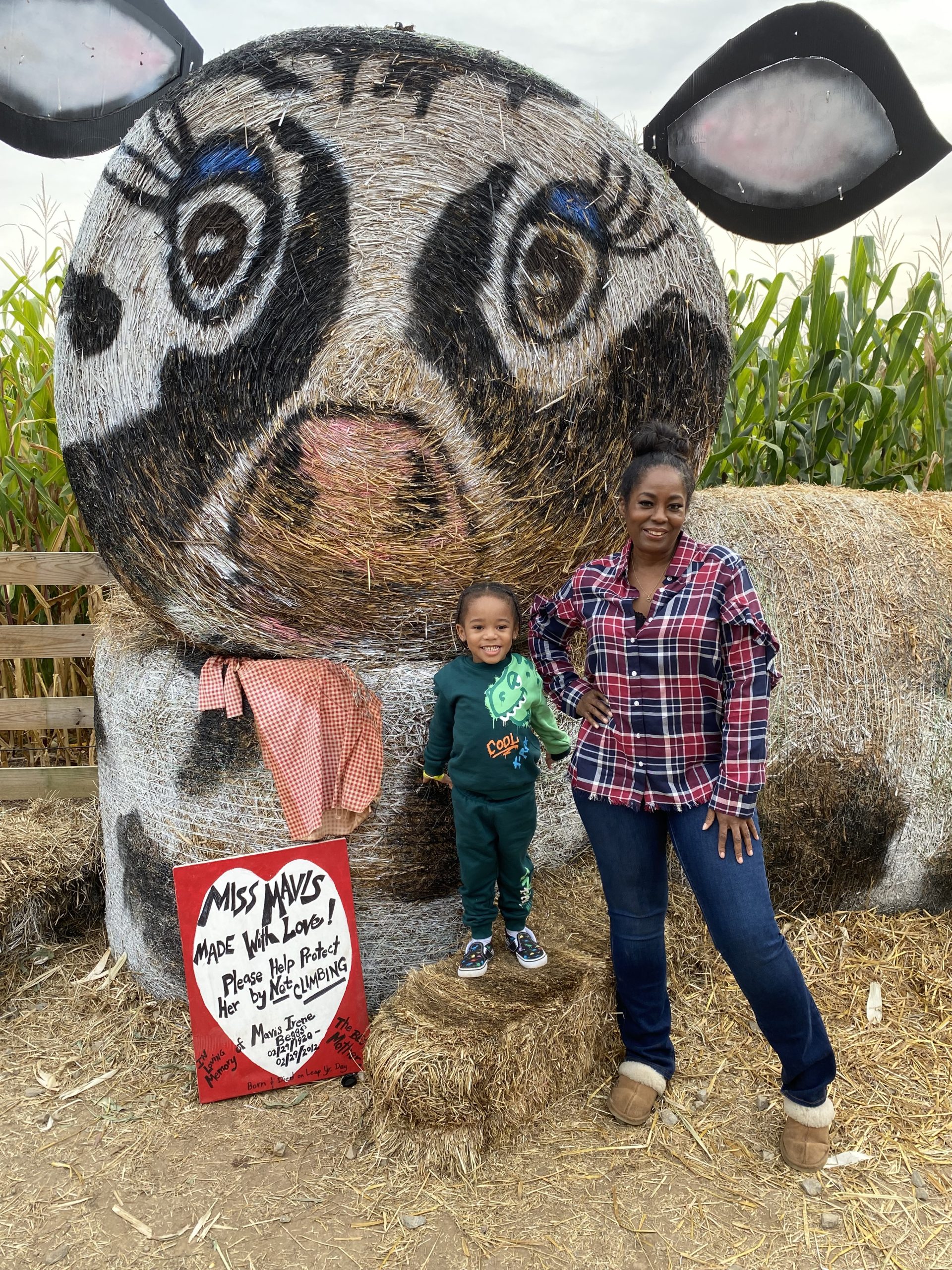 Fun Family Day At Buford Corn Maze